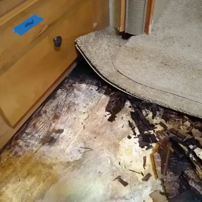 Wood Floor Water Damage in Lake Success, NY